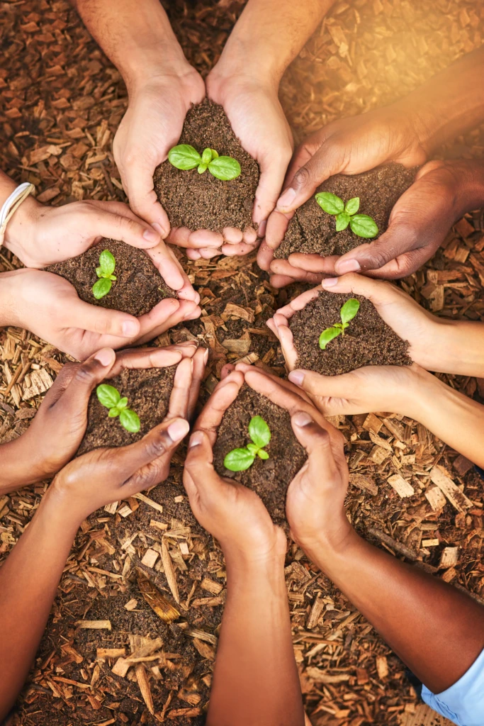 cropped-shot-of-a-group-of-people-holding-plants-g-2025-04-06-08-12-23-utc
