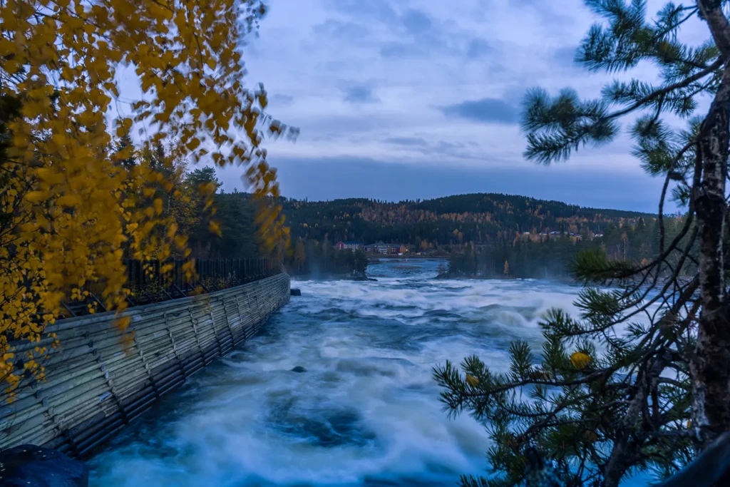 pite-river-and-forest-landscape-in-sweden-2025-03-08-02-20-57-utc