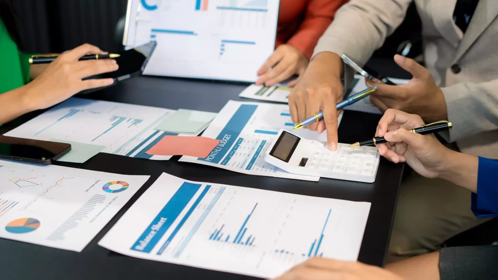 audit bilan cabronne