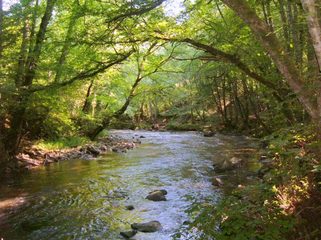 Le_Cousin_(rivière)
