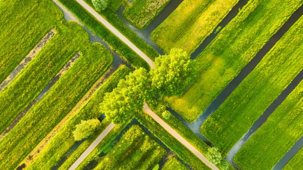 plan de gestion ecologique